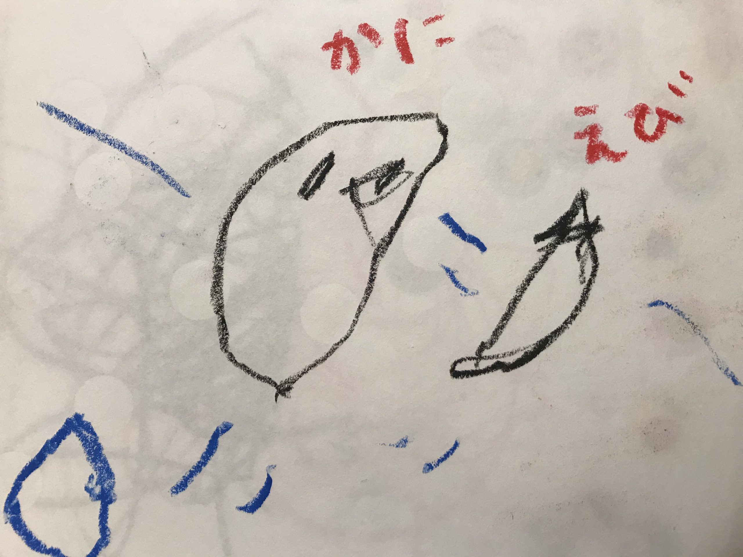 2歳5か月 花はじきの遊び方とお絵描きの変化 猫と日常